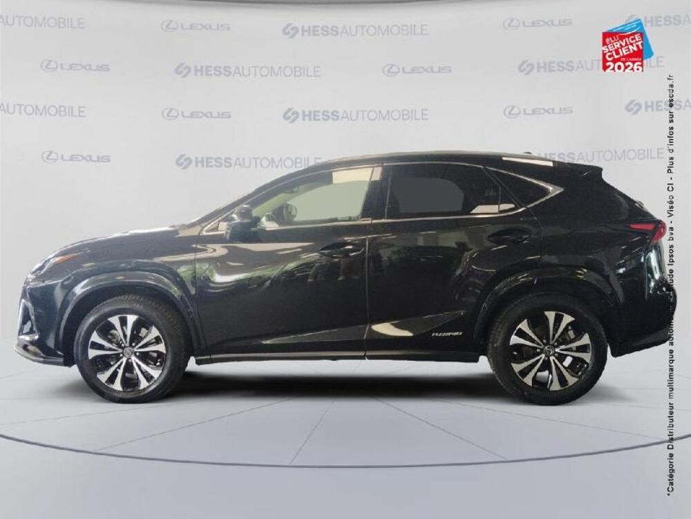 NX 300h 2WD Design MY21 2021 occasion 67460 Souffelweyersheim