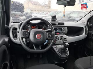 Panda 1.0 70ch BSG S&S City Cross Elysia Euro6D 2020 occasion 54400 Longwy