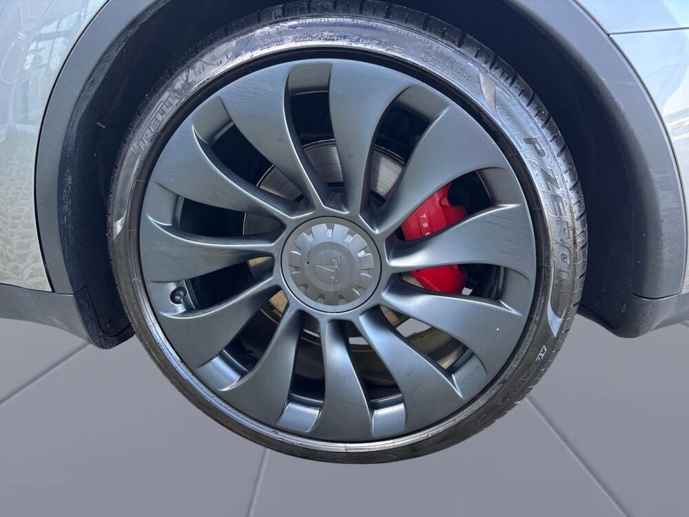 Model Y Performance AWD 2024 occasion 67460 Souffelweyersheim