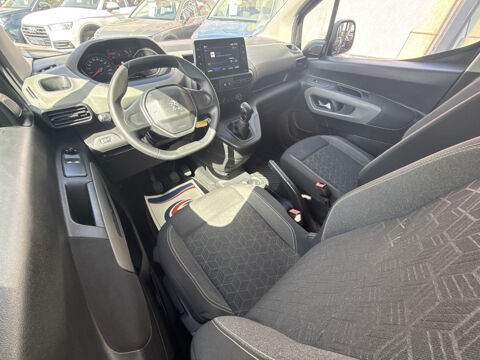 Rifter BLUEHDI 100CH STANDARD ACTIVE 2019 occasion 31140 Aucamville