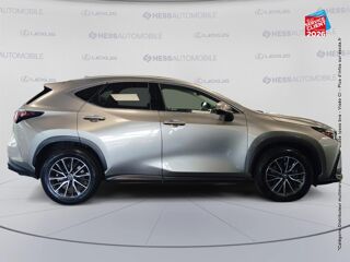 NX 350h Luxe 4WD 2022 occasion 67460 Souffelweyersheim