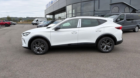 Formentor 1.5 ETSI HYBRID 150CH V DSG7 2026 occasion 81000 Albi