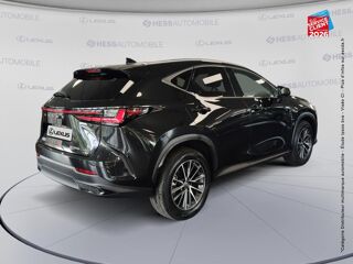 NX 350h Luxe 4WD 2023 occasion 67460 Souffelweyersheim