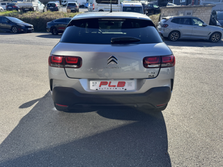C4 cactus BLUEHDI 120CH SHINE EAT6 PLB AUTO 2019 occasion 12000 RODEZ