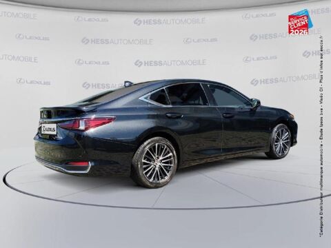 ES 300h Luxe MY25 Tpano Sieges chauf/ventil/cuir GPS Camera 2023 occasion 67460 Souffelweyersheim