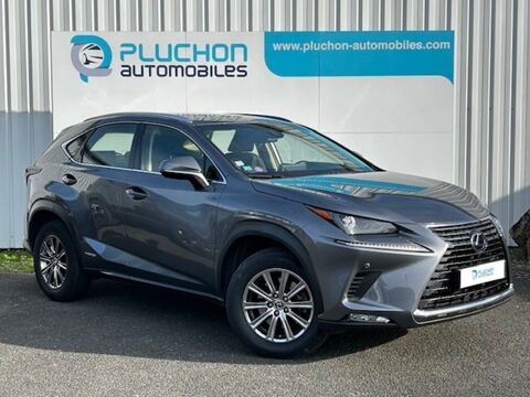 Lexus NX 300H 2WD PACK BUSINESS 2018 occasion Saint-Lumine-de-Clisson 44190