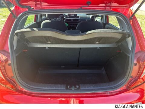 Picanto 1.0 DPi 67ch Active 2022 occasion 44800 Saint-Herblain