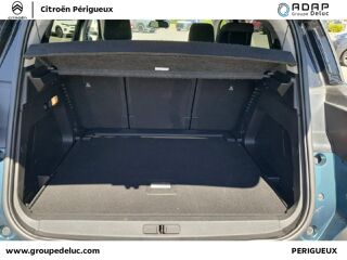 C5 aircross BlueHDi 130ch S&S Shine EAT8 E6.d 2020 occasion 24750 Tr&eacute;lissac