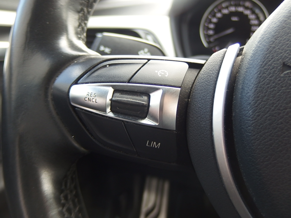 X2 (F39) SDRIVE18IA 140CH M SPORT DKG7 EURO6D-T 2019 occasion 10600 Savi&egrave;res