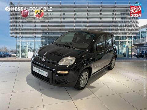 Fiat Panda Classic 1.0 70ch BSG S&S City 2024 occasion Huningue 68330