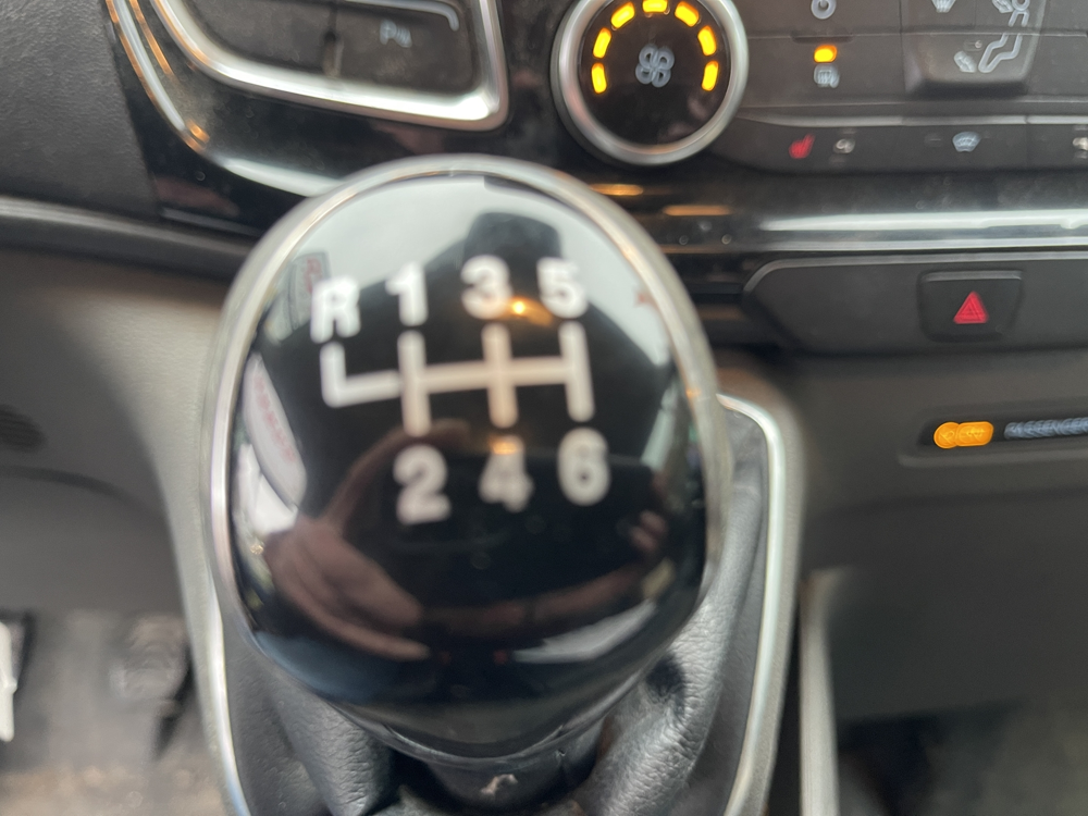 Transit 300 L1H1 2.0 ECOBLUE 170 LIMITED 2019 occasion 61000 Alen&ccedil;on