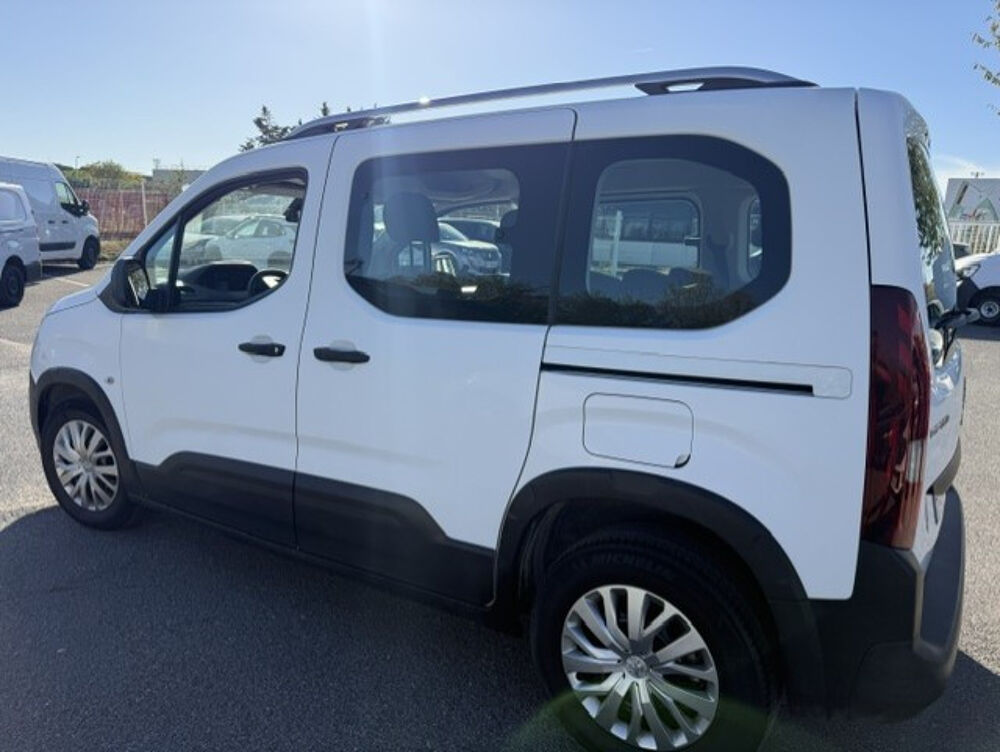 Rifter PURETECH 110CH S&S STANDARD ACTIVE 119G 7pl 2019 occasion 91220 Br&eacute;tigny-sur-Orge