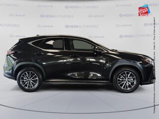 NX 350h Luxe 4WD 2023 occasion 67460 Souffelweyersheim