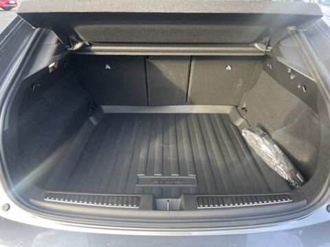 Rafale 1.2 E-Tech full hybrid 200ch Techno 2024 occasion 78860 ST NOM LA BRETECHE