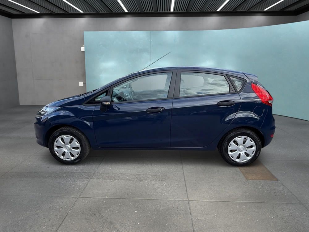 Fiesta 1.25 60CH TREND 5P 2010 occasion 88200 Saint-Nabord