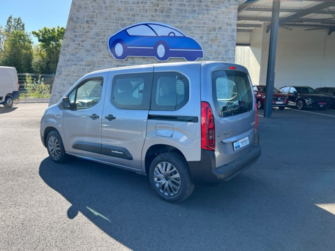 Berlingo M 1.5 BLUEHDI 100CH S&S PLUS 5 PLACES (N1) 2026 occasion 81000 Albi