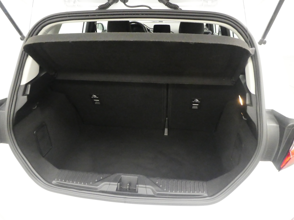 Fiesta 1.0 FLEXIFUEL 95CH TITANIUM BUSINESS 5P 2023 occasion 77100 Nanteuil-l&egrave;s-Meaux