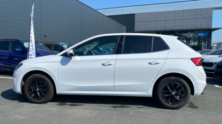 Fabia 1.0 TSI EVO2 95CH SELECTION 2025 occasion 81000 Albi