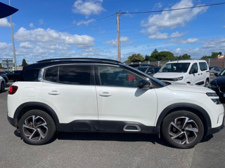 C5 aircross BLUEHDI 130CH S&S SHINE 2019 occasion 81000 Albi