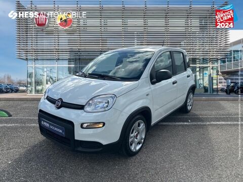 Annonce voiture Fiat Panda 13499 