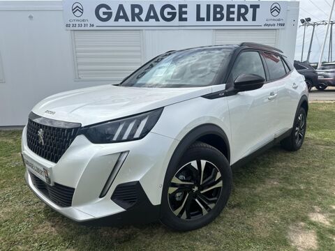 Annonce voiture Peugeot 2008 22970 