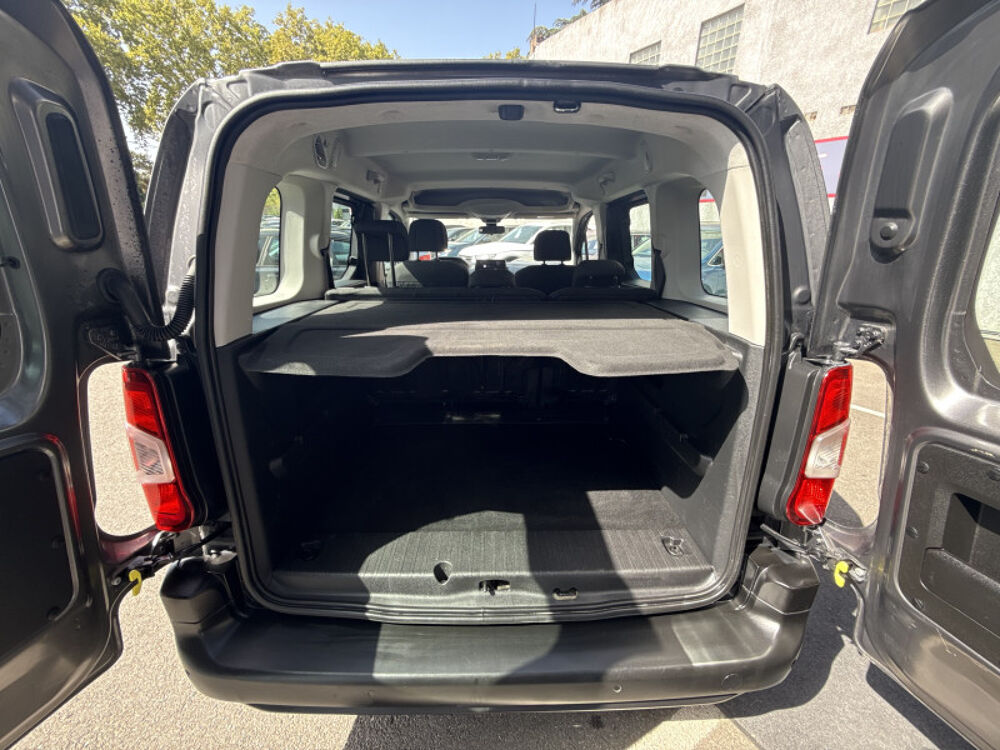 Rifter BLUEHDI 100CH STANDARD ACTIVE 2019 occasion 31140 Aucamville