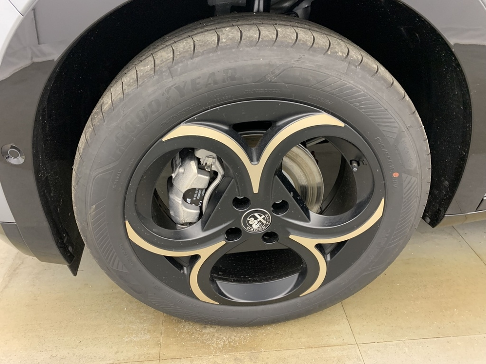 Junior 1.2 IBRIDA 145CH INTENSA E-DCT6 2026 occasion 31600 Muret