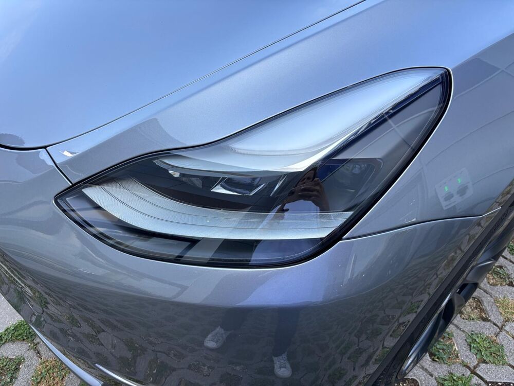 Model Y Performance AWD 2024 occasion 67460 Souffelweyersheim