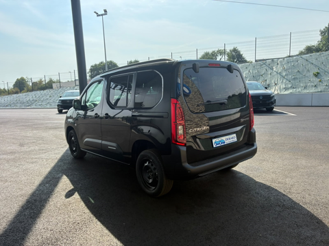 Berlingo M 1.5 BLUEHDI 130CH MAX BVA8 2026 occasion 81000 Albi
