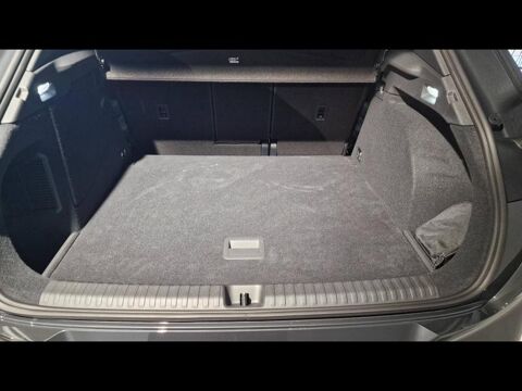 Terramar 1.5 eHybrid 204ch V DSG7 2025 occasion 24430 Marsac-sur-l'Isle