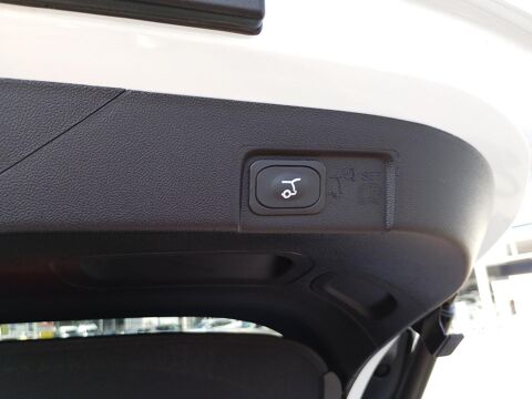 Puma 1.0 EcoBoost Hybrid 125ch Titanium Business S&S Powershift 2025 occasion 63000 Clermont-Ferrand