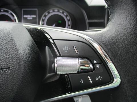 Kamiq 1.0 TSI Evo 110ch Ambition DSG7 2023 occasion 24430 Marsac-sur-l'Isle