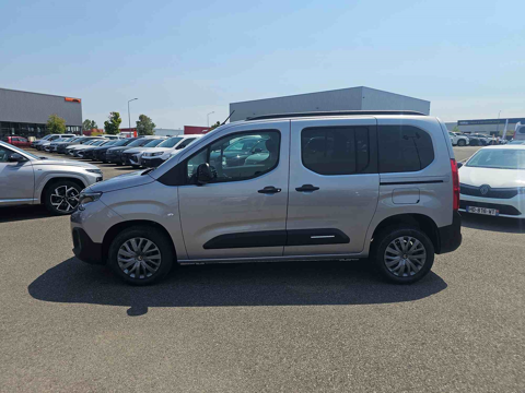 Berlingo M 1.5 BLUEHDI 100CH MAX 2026 occasion 65420 Ibos