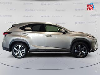 NX 300h 4WD Executive Innovation MY21 2021 occasion 67460 Souffelweyersheim