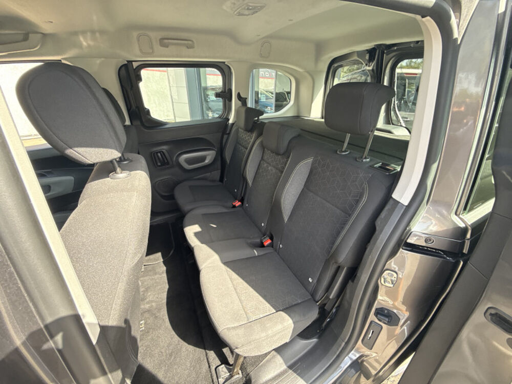 Rifter BLUEHDI 100CH STANDARD ACTIVE 2019 occasion 31140 Aucamville