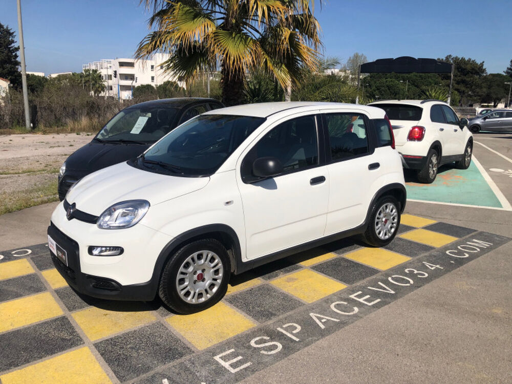 Panda 1.0 70CH BSG S&S 2023 occasion 34970 Lattes