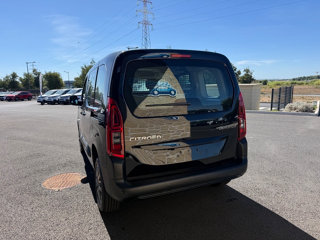 Berlingo M 1.5 BLUEHDI 100CH PLUS (N1) 2026 occasion 81000 Albi