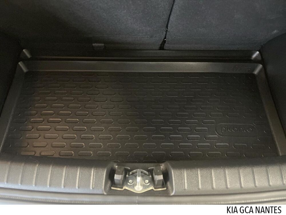 Picanto 1.2 DPi 84ch GT Line Premium BVMA5 2024 occasion 44800 Saint-Herblain