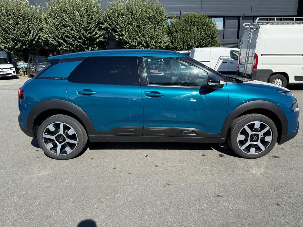 C4 cactus PureTech 110ch S&S Shine E6.d 2019 occasion 24750 Tr&eacute;lissac