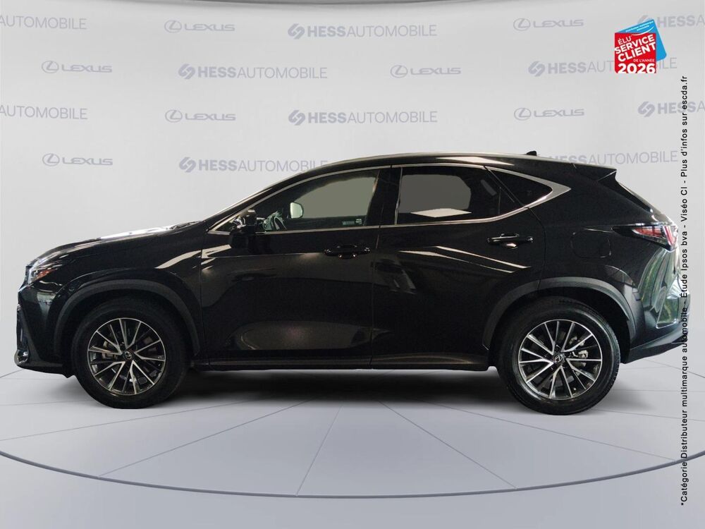 NX 350h Luxe 4WD 2023 occasion 67460 Souffelweyersheim