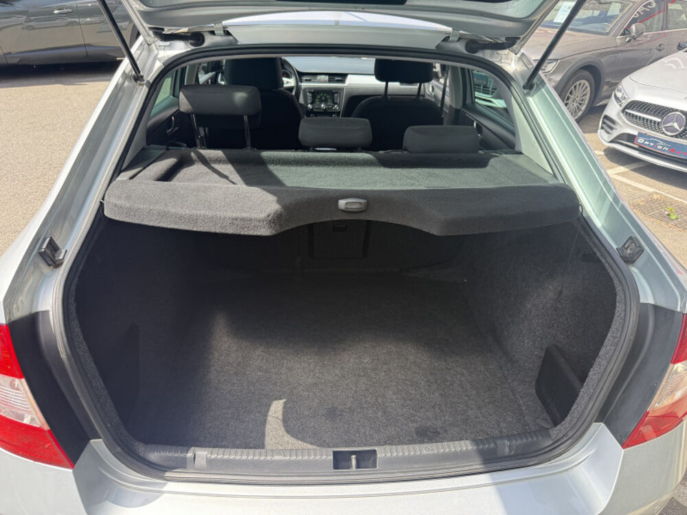 Rapid 1.6 TDI 105CH CR FAP GREENTEC TOUR DE FRANCE 2015 occasion 31140 Aucamville