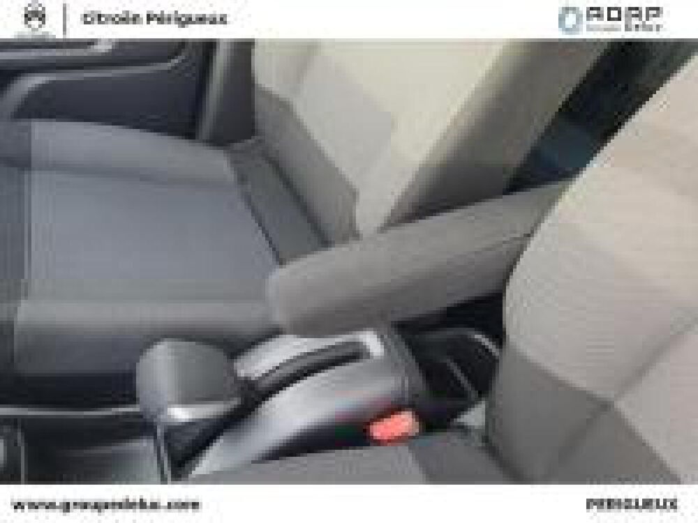 C3 Aircross BlueHDi 110ch S&S Shine Business 2021 occasion 24750 Tr&eacute;lissac