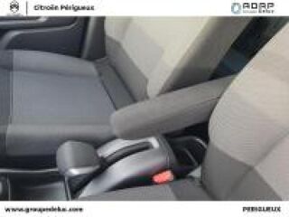 C3 Aircross BlueHDi 110ch S&S Shine Business 2021 occasion 24750 Tr&eacute;lissac