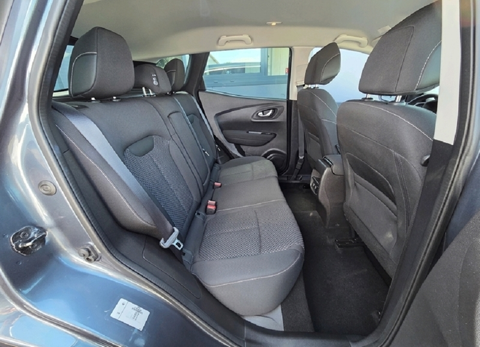 Kadjar 1.3 TCE 140CH FAP BUSINESS EDC 2019 occasion 44190 Saint-Lumine-de-Clisson