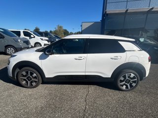 C4 cactus PURETECH 110CH S&S FEEL BUSINESS E6.D 2019 occasion 31670 Lab&egrave;ge