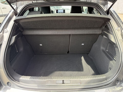 DS3 ESSENCE 100CH PERFORMANCE LINE 2021 occasion 31140 Aucamville