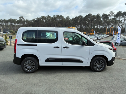 Berlingo M 1.5 BLUEHDI 100CH S&S PLUS 5 PLACES (N1) 2026 occasion 31670 Lab&egrave;ge