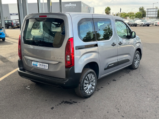 Berlingo M 1.5 BLUEHDI 100CH PLUS (N1) 2026 occasion 81000 Albi