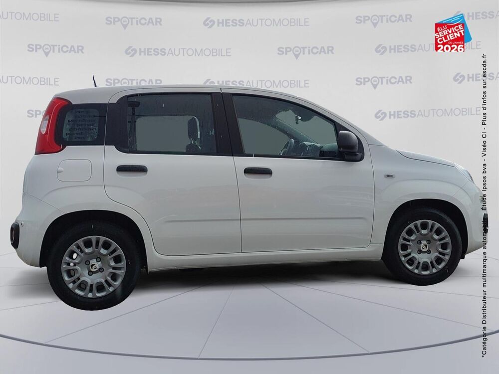Panda Pandina 1.0 65ch BSG S&S Hybrid Ic&ocirc;ne 2026 occasion 90000 Belfort
