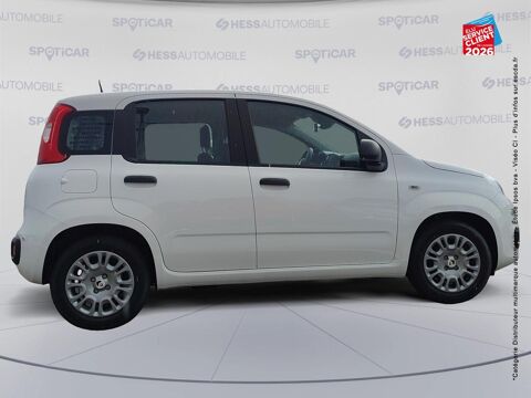 Panda Pandina 1.0 65ch BSG S&S Hybrid Ic&ocirc;ne 2026 occasion 90000 Belfort